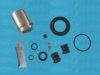 AUTOFREN SEINSA D41377C Repair Kit, brake caliper